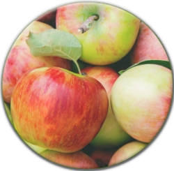 apples-circle.webp?ts=1773262950